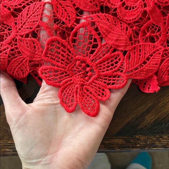 Lovers + Friends Red Lace Dress - Picture 6 of 8
